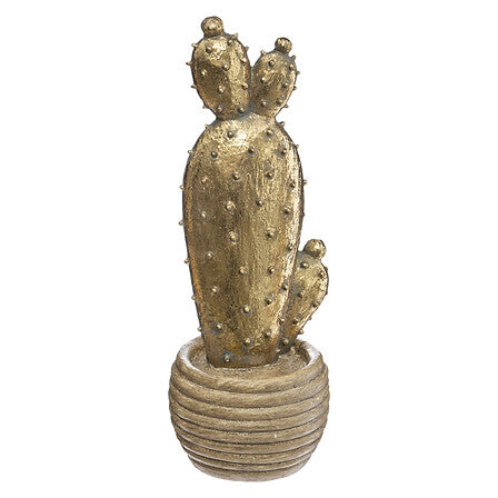 Cactus golden coraline 30cm